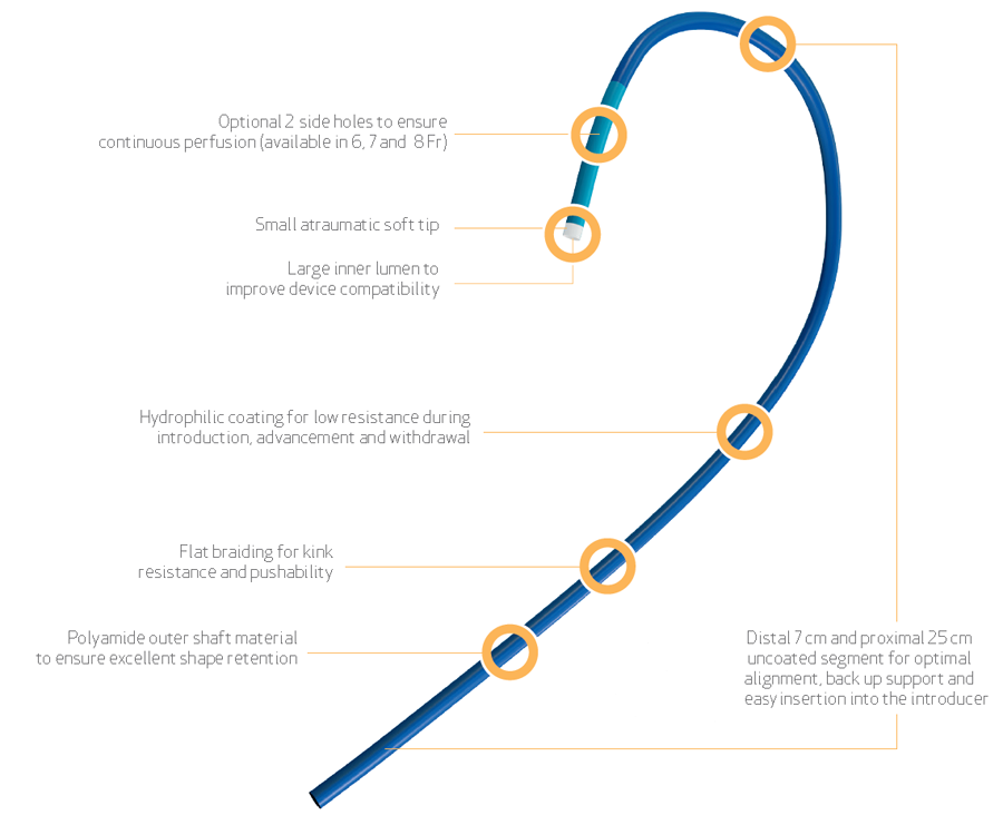 art 3.5 guide catheter rembrandtvanrijnselfportrait